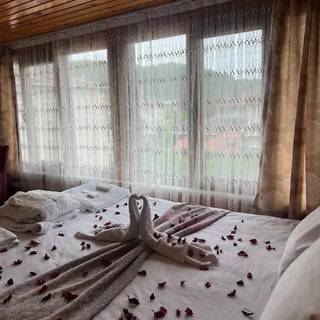 Hotel Secret Garden